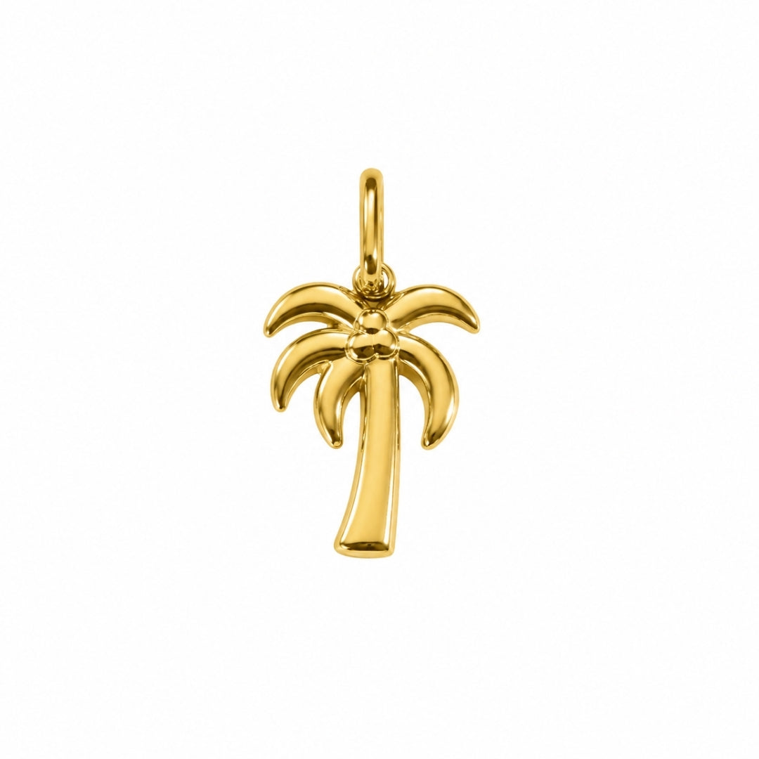 Charm Palmera